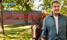 Quote of the day by Sylvester Stallone, 