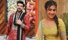 Karan Kundrra, Jasmeet Kaur and Neha Rana share Baisakhi traditions, recall family moments