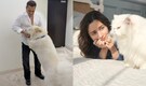 National Pet Day: Salman Khan, Alia Bhatt and Bollywood celebs’ adorable bonds with their paw-friends