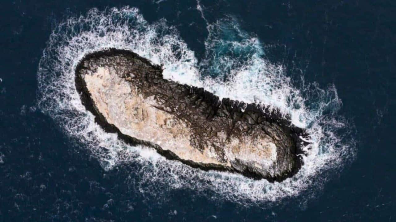 A ‘danger zone’ on maps turns out to be a real island in Antarctica