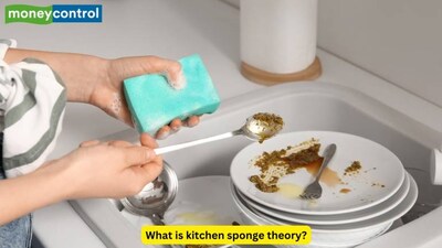 Can your kitchen sponge cause cancer? Nutritionist says it has more bacteria than a toilet seat