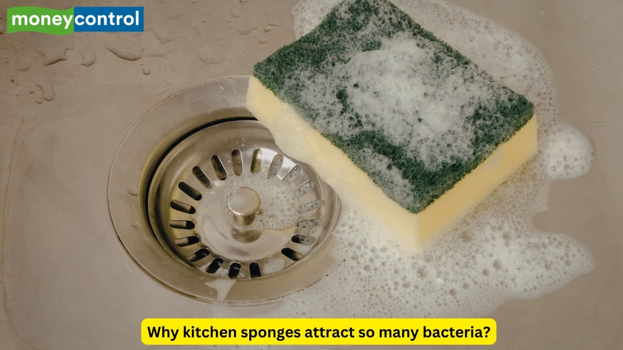 Sponge Using Kitchen Can your kitchen sponge cause cancer? Nutritionist says it has more ...