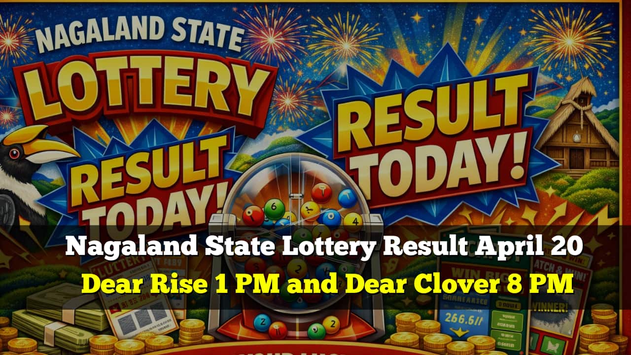 Nagaland State Lottery Result Today (April 20): Dear Rise 1 PM and Dear Clover 8 PM Winners List