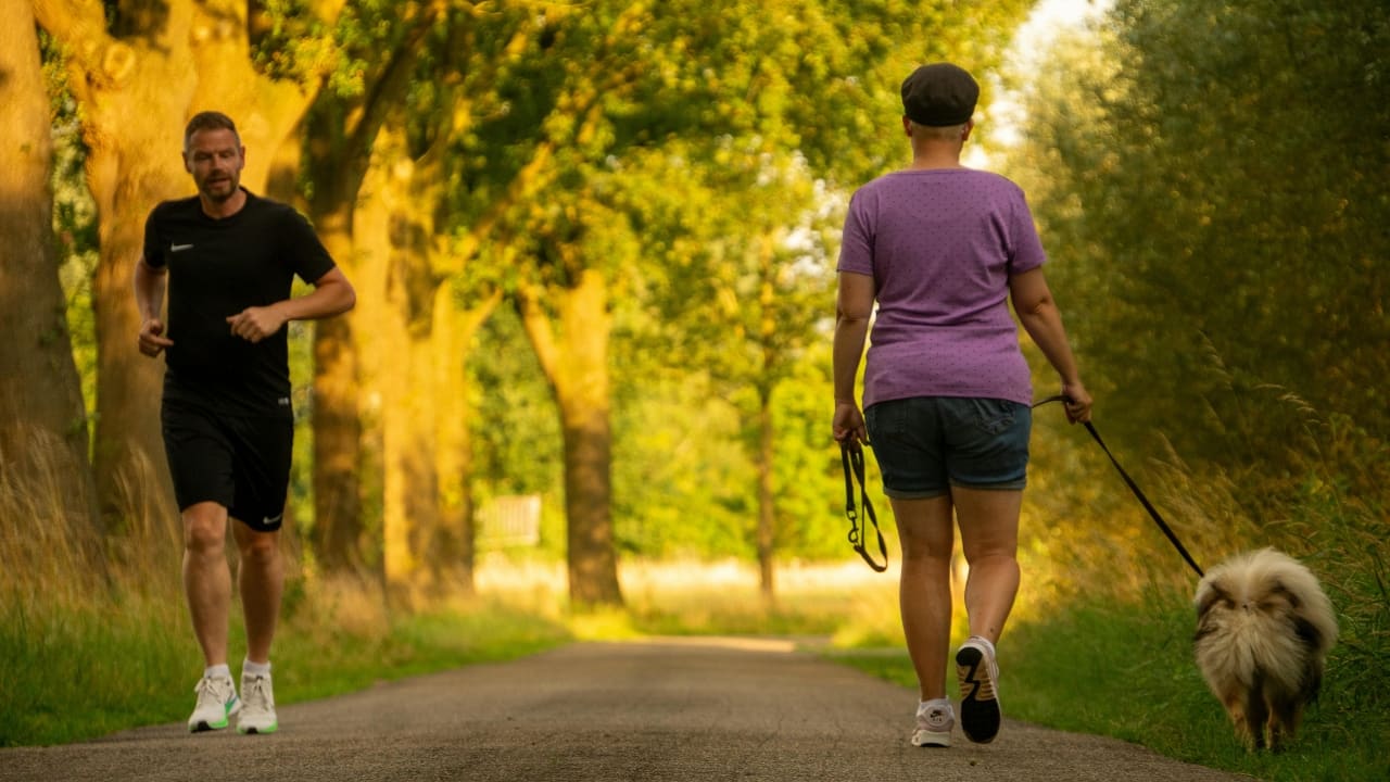Want to live longer? 10,000 daily steps could reduce death risk by 40%