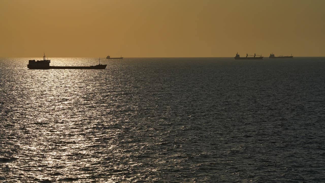 Citi sees oil at $110 if Hormuz disruption lasts another month