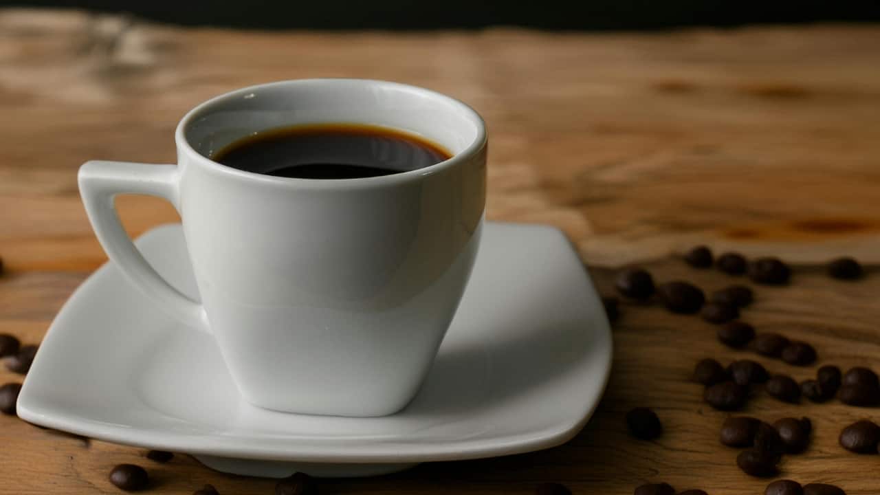 borbone coffee cups Giant Borbone cup carries sugar  Mokashop Europe