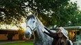 From horse trails to sky safaris: Domestic travel booms as Iran war reshapes Indian holidays