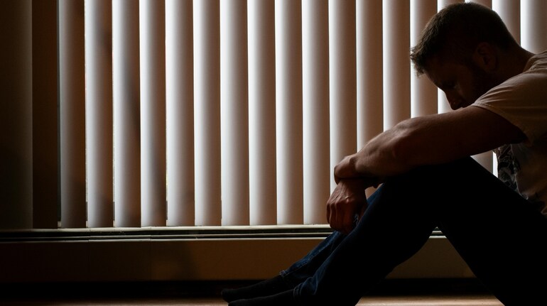 Harvard study reveals surprising link between gut bacteria, pollution ...