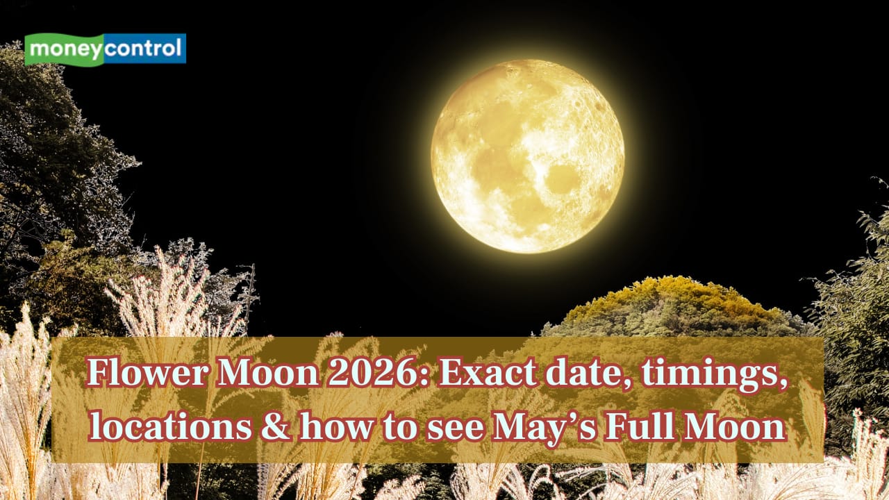 Flower Moon 2026: Know the exact date, timings, locations and how to ...