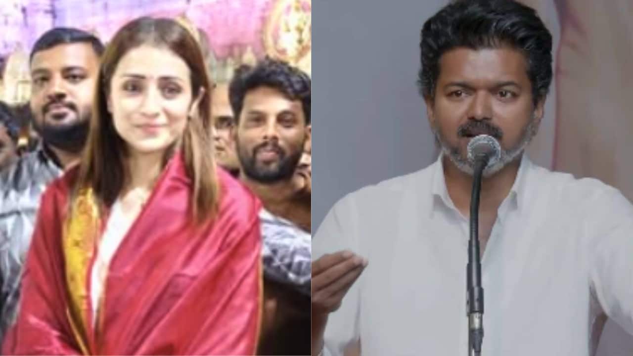 Trisha Krishnan’s Birthday Temple Visit Coincides With Vijay’s TVK Surge in Tamil Nadu — image 1