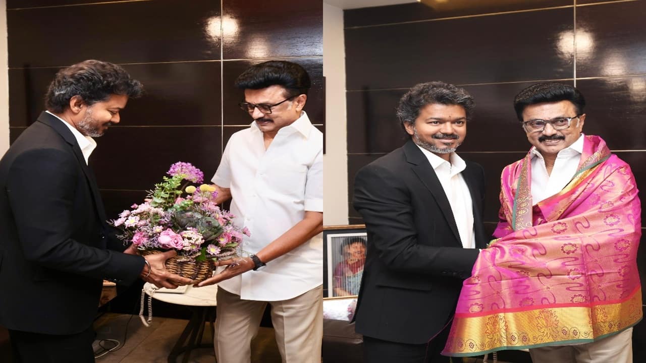 Tamil Nadu CM Vijay meets DMK's MK Stalin in 'courtesy call' days ...