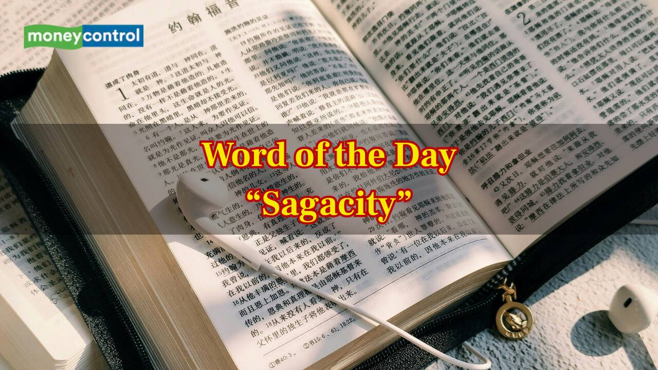 Sagacity Example Drawing Word of the day: Sagacity