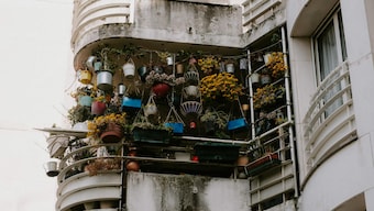 Quiet hope of a balcony garden: How potted plants can offer a meaningful counter to common metrics of progress