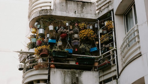 Quiet hope of a balcony garden: How potted plants can offer a meaningful counter to common metrics of progress