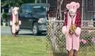 ‘Tried to grab the little girl...’: Eerie Pink Panther-costumed suspect sparks panic in Virginia neighbourhood; video goes viral
