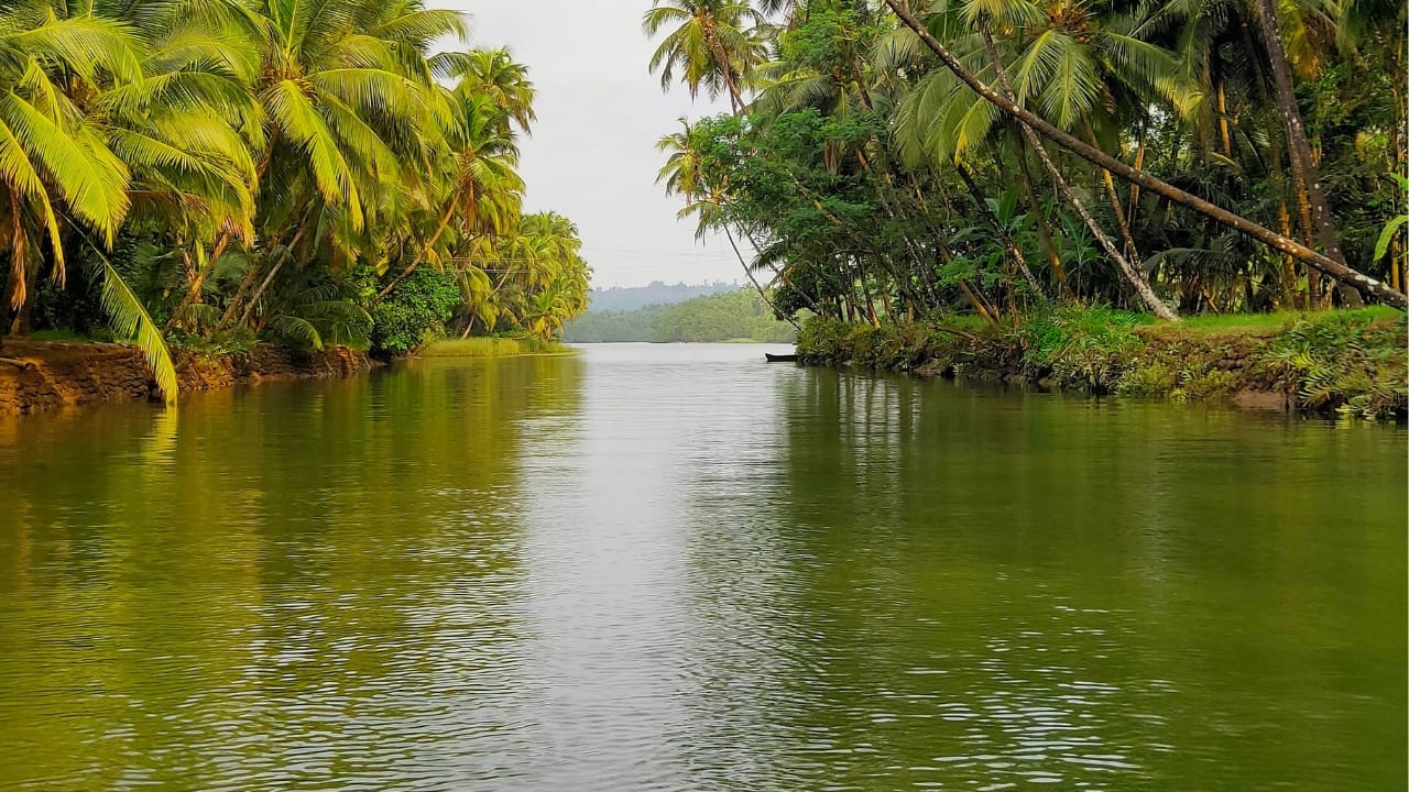 From Wayanad to Kodaikanal, monsoon travel demand pours in