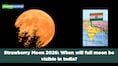 Strawberry Moon 2026: Will this be visible in India? Check peak time, location and visibility conditions