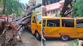 Mumbai: Student killed, 10 hurt after tree falls on school bus in Chembur