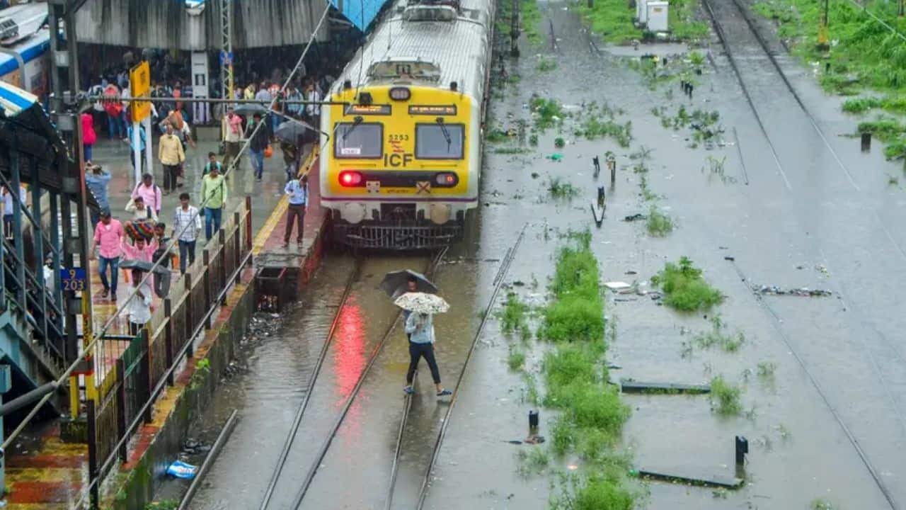 The Eastern Window: Why Shanghai, Shenzhen differ from Mumbai, Bengaluru- Moneycontrol