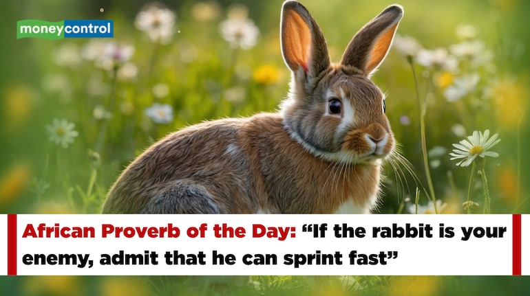 African Proverb of the Day: 