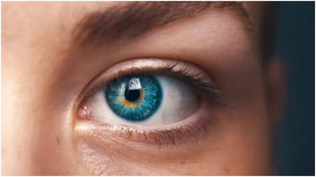 Human eyes respond to light up to 10 hours after death, study finds- Moneycontrol