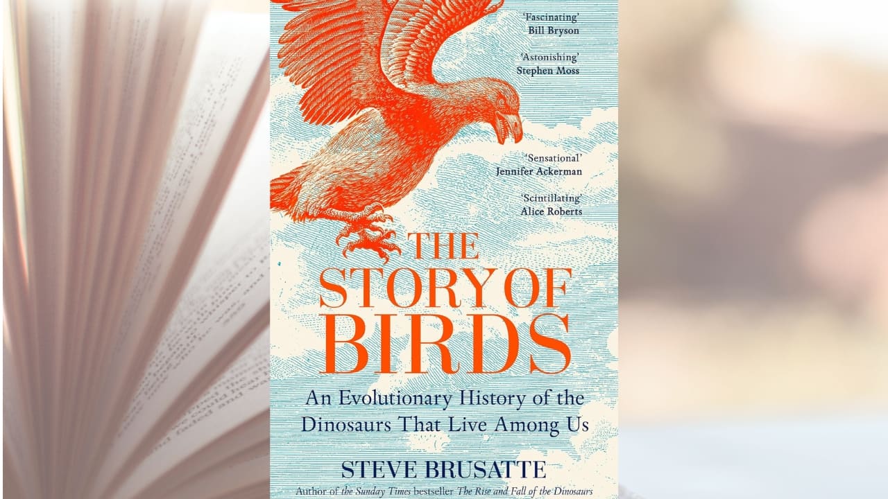 Book Extract | The Story of Birds: An Evolutionary History of the Dinosaurs That Live Among Us
