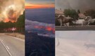 No one's safe!!! As France burns, from horses to deers, all are running for their lives—But why?