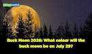 Buck Moon 2026: Will moon change its colour to 'orange' or 'red' on July 29?