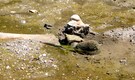 Europe Heatwave 2026: An ancient mammoth fossil hidden for years discovered as Danube River dries!