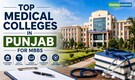 Top 10 medical colleges in Punjab for MBBS: Fees, expected NEET UG cutoff and more