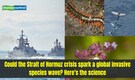 Strait of Hormuz Crisis 2026: Can hundreds of stranded ships spread 