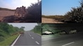 4 Asiatic Lions, 45 Camera-Trap Images: Gujarat’s big cats explore mangroves for the first time!