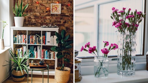 7 clever indoor spots in your home where you can keep plants
