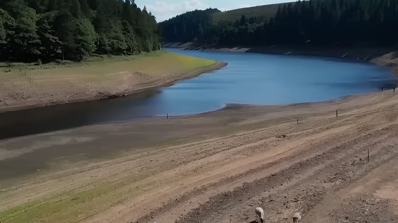 Romania Energy Crisis 2026: Danube river’s low water levels have scientists worried — but why?- Moneycontrol