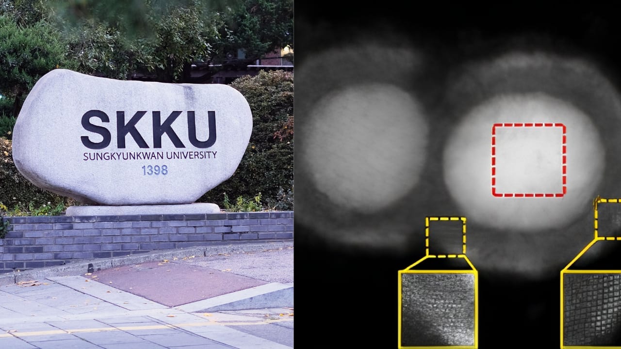CO₂ to Ethanol: South Korea’s SKKU researchers develop catalyst that converts carbon dioxide using electricity- Moneycontrol