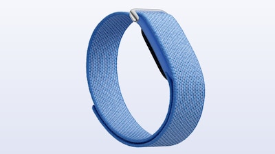 Google Fitbit Air