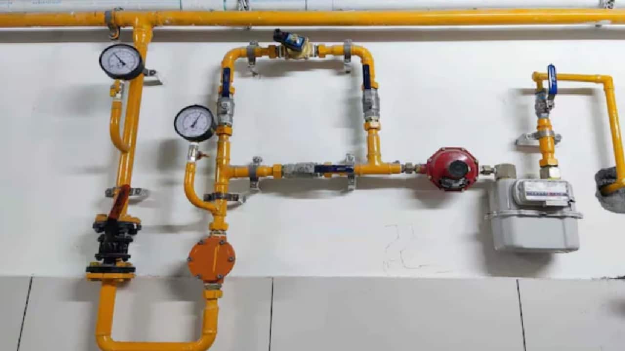Petroleum regulatory board publishes draft guidelines for up to 5% hydrogen blending in household piped gas- Moneycontrol