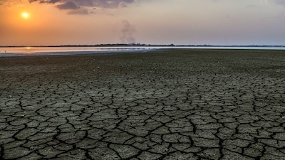 Maharashtra is considering a 10 per cent cut in urban water supply and restrictions on construction in water-scarce areas.