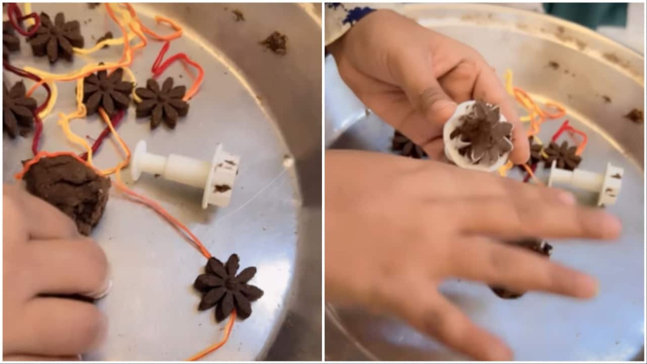 Cow dung rakhis go viral ahead of Raksha Bandhan; netizens question 'obsession with gobar'