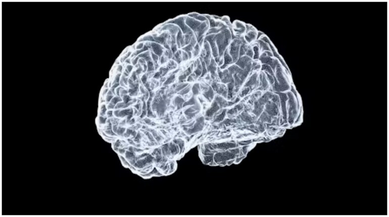 Want to 'manifest' your goals? Neurosurgeon says this one habit can train your brain for success