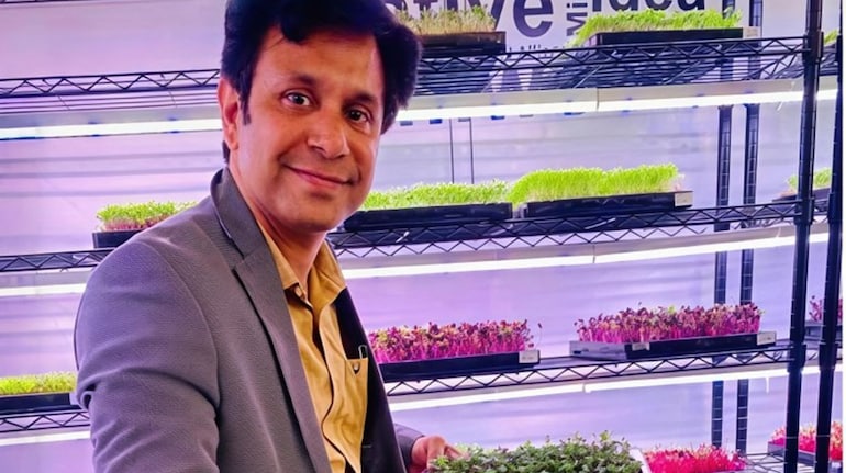 Man quits Rs 90 lakh corporate job, starts farming with Rs 30,000, now runs Rs 1.44 crore microgreens business