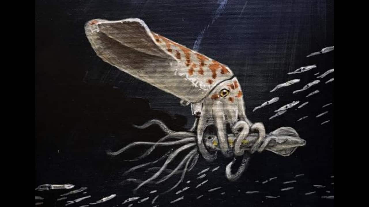 New Jurassic Belemnite Species Discovered in Wyoming
