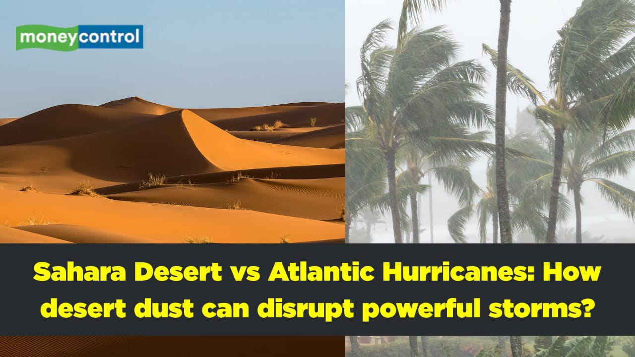 How can a desert 5,000 Km away affect Atlantic hurricanes? The Sahara connection explained