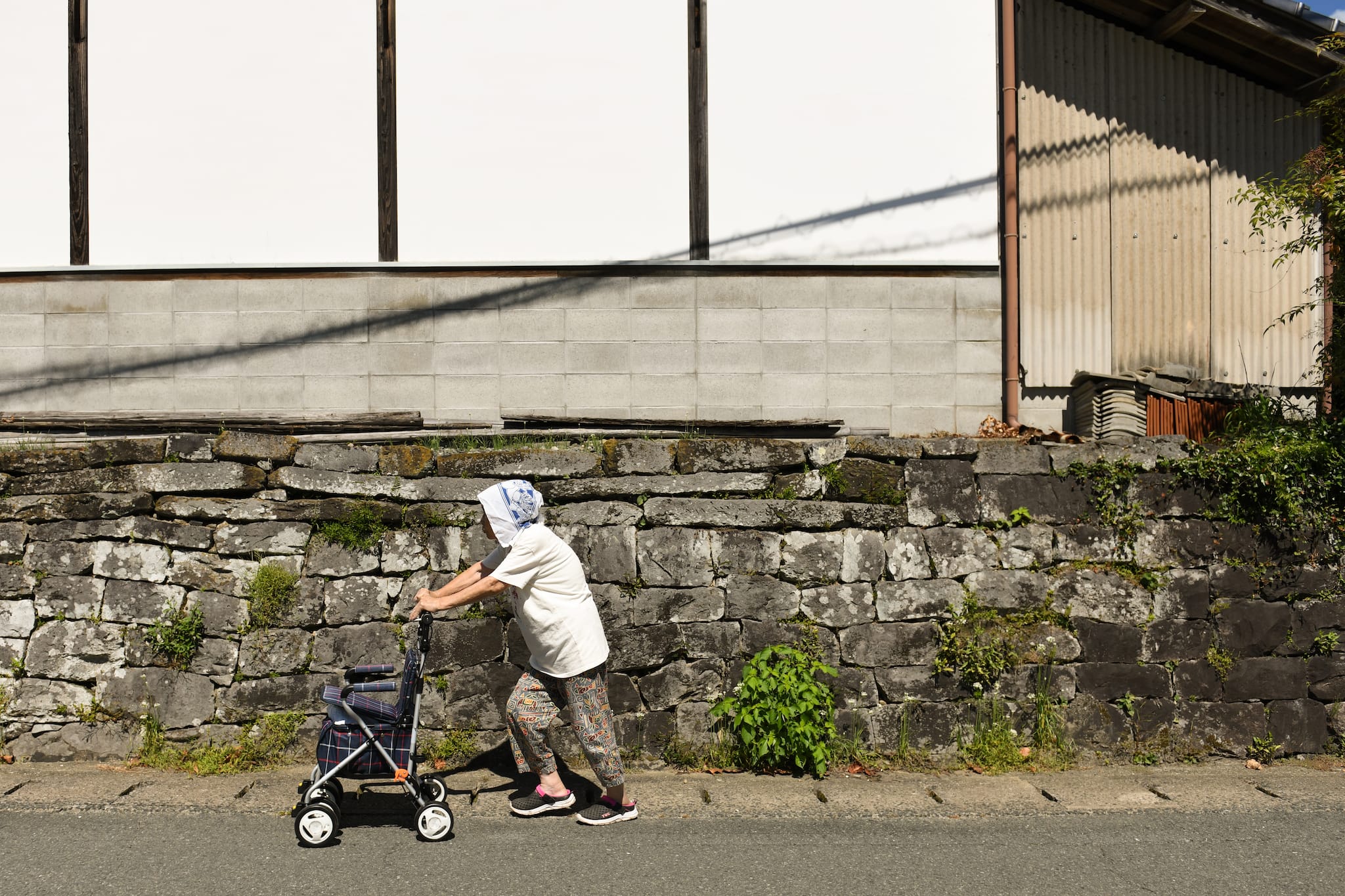 Japan has over 100,000 centenarians for first time as ageing population strains pensions, healthcare