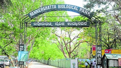 Bannerghatta National Park. (Source: File)