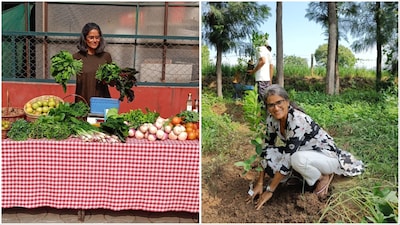 Manisha Lath Gupta says years of financial planning allowed her to walk away from a top corporate role and build a self-sustaining life on a permaculture farm near Chandigarh. (Image credit: Moneycontrol)
