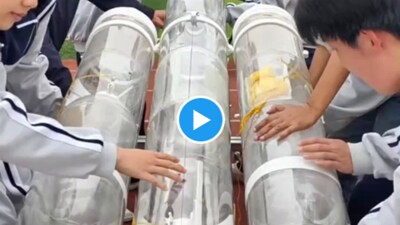 Teacher builds water rocket with students in China (Image: X.com)