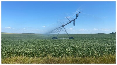 Soybeans irrigated in Platte County, Nebraska. (Courtesy: Reuters photo)
