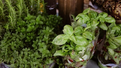 Grow these 5 kitchen herbs at home for a happier gut Picture: (Pexels)