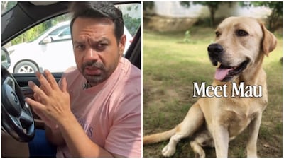 Gaurav Taneja rejected those allegations and challenged those making claims of animal cruelty to produce evidence.